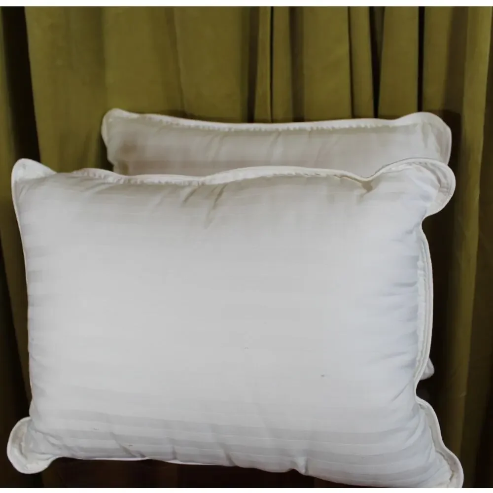 Two New Toddler Pillows 14x11